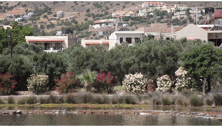 Elounda Olive Garden Studios - NR, Крит